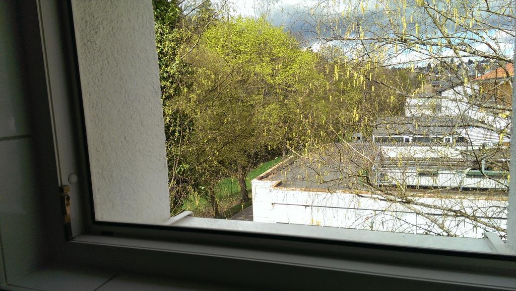 Loft Nagoldtal Leilighet Pforzheim Eksteriør bilde